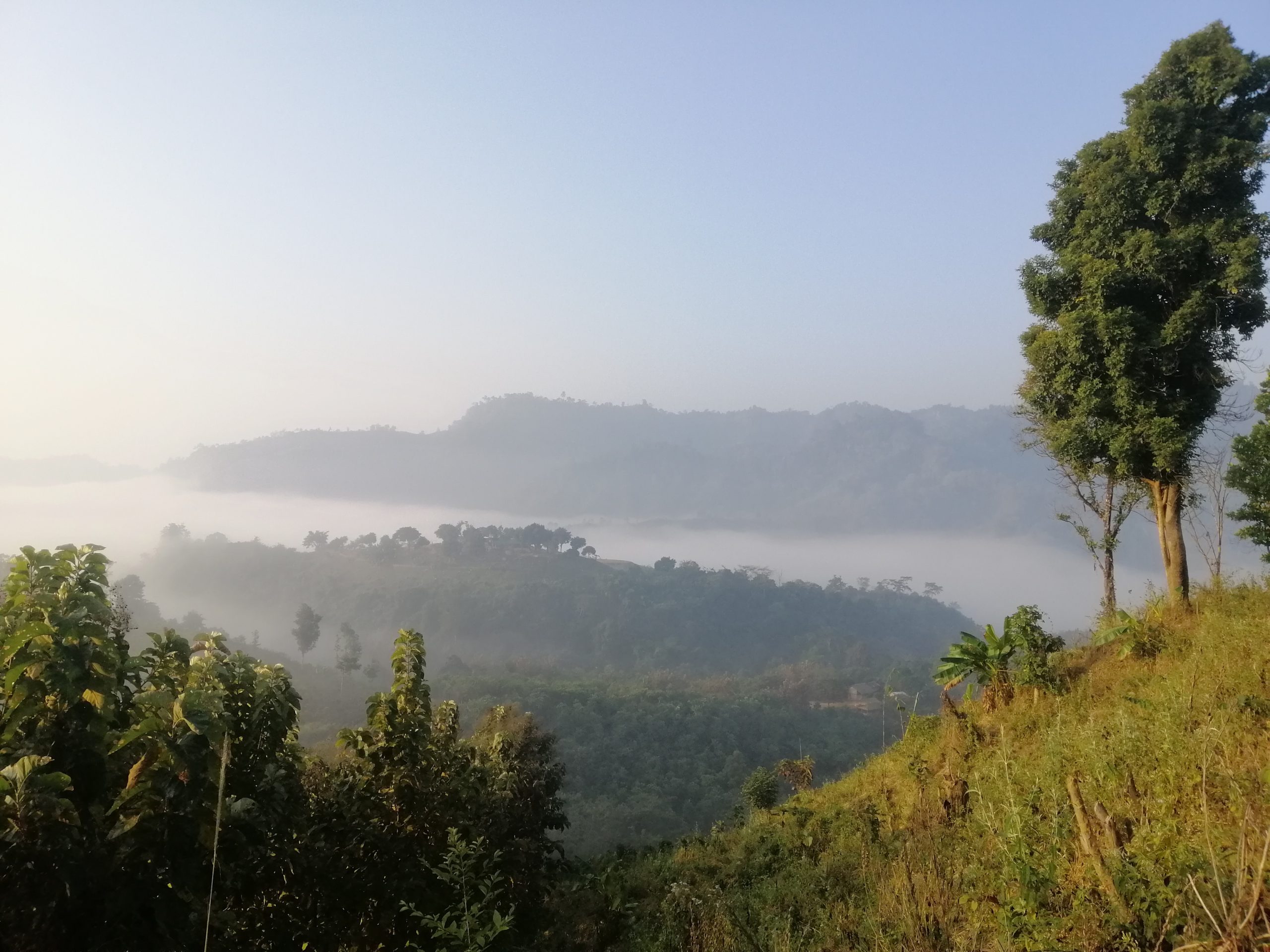 আমার বেলা যে যায়