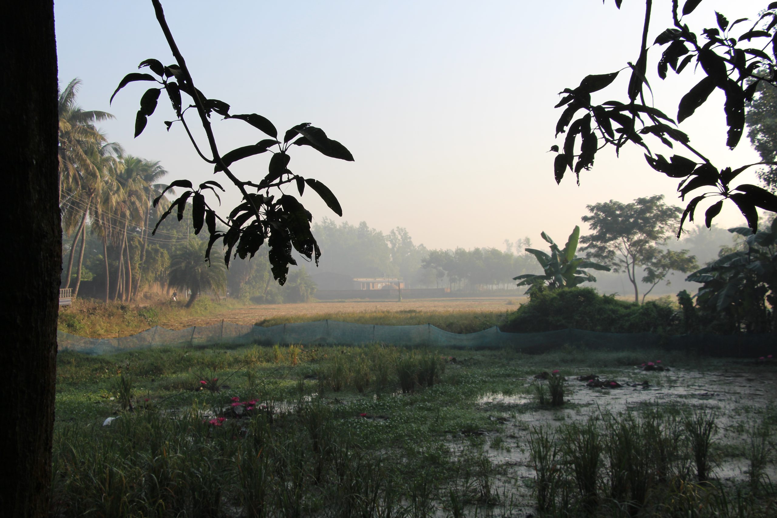 পাঁচ বছর, একটু অবসর, ফিরে দেখা