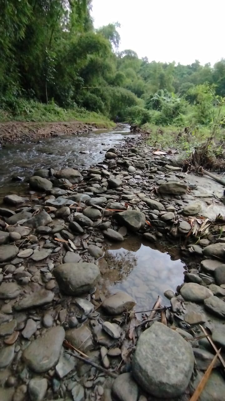 পাহাড়ের টানে সবুজের পানে/পর্ব ২