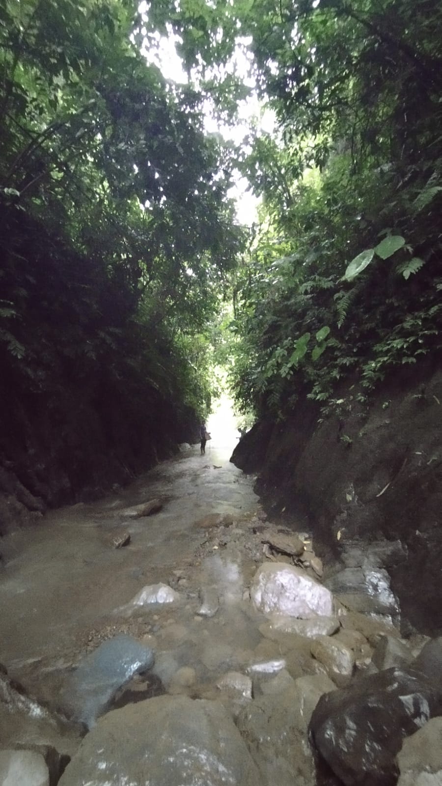 পাহাড়ের টানে সবুজের পানে (শেষ পর্ব)